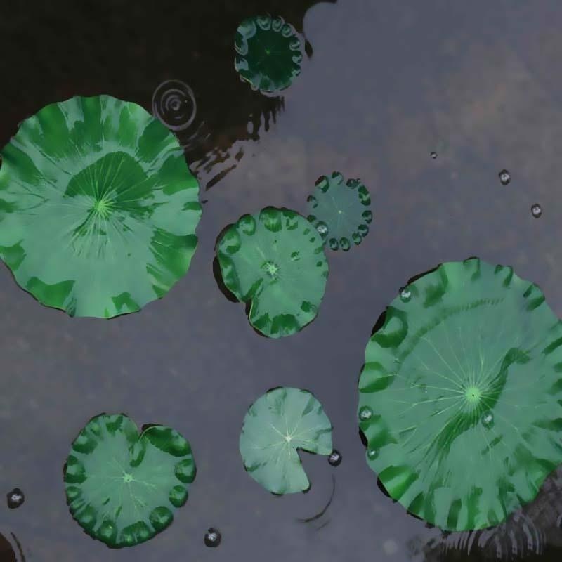 2026 Artificial Water Lily Lot - Marine Fish Tank recension och pris